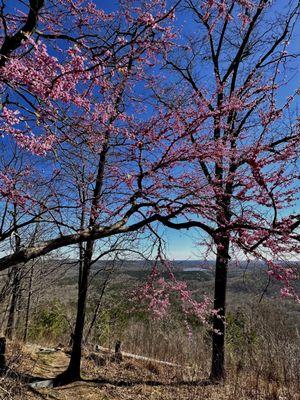 Morrow Mountain State Park