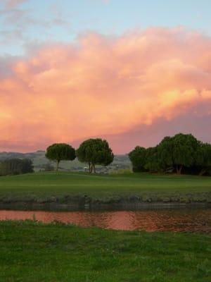 Website background photo taken at sunset in Petaluma.