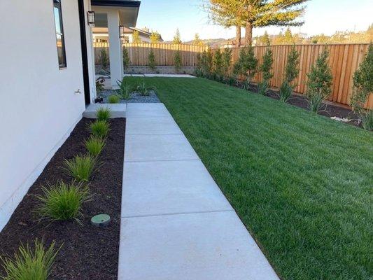 CM Custom Maintenance Landscaping