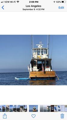 Catalina Island with SUP