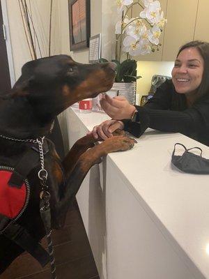 Kaya having a nice chat with the girls at the front desk