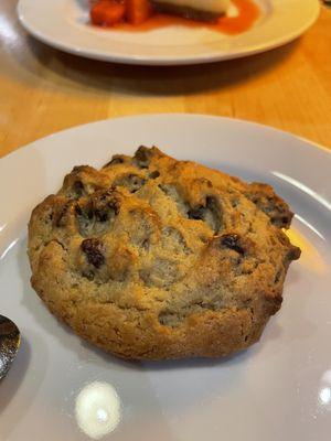 Chocolate chip cookie