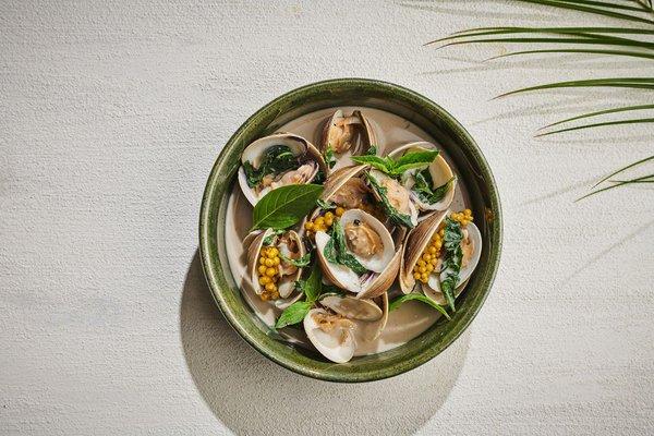 Kaeng Khei y Whwan Hoy / Green Curry and Manila Clams