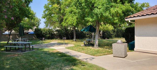 Picnic and barbecue area