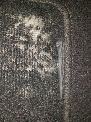 Here's proof of the carpet fibers pulled out from them vacuuming too hard.