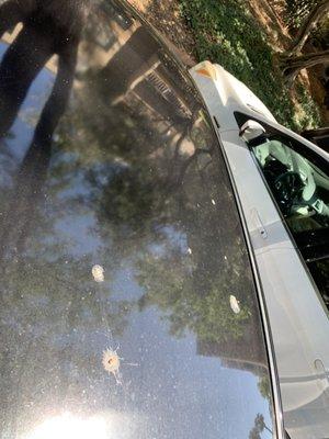 The hood of my car is still dirty with fruit splats. After $115.00. Never going back. Ridiculous.