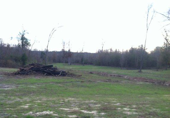 Land Clearing