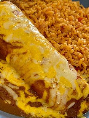 Chicken enchilada in red sauce