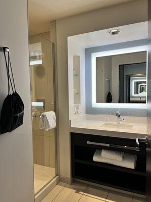 Nice bathroom with walk-in shower