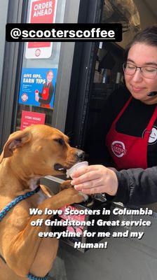 Tatum getting her weekly Pup cup! We went twice this weekend!