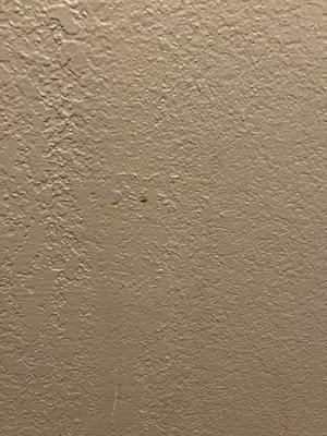 Wall of the restroom with blood