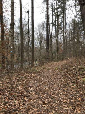 More formal section of Marsh Loop Trail