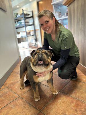 Compassionate veterinary care