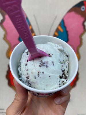 Mint Chocolate Chip kids scoop