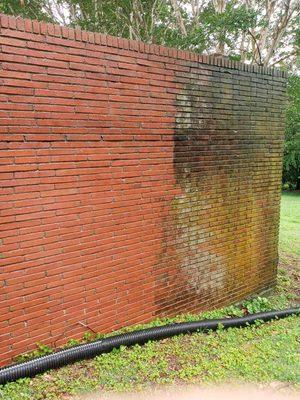 Our professional pressure washing on an algae encrusted brick wall. It was sooo dirty! - Follow us for more amazing results!