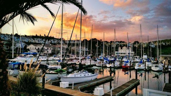 View of marina from Dock 7