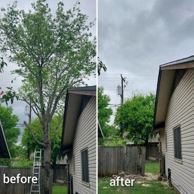 Round Rock Texas - Tree Removal, before and after - Reasons why we cut down this tree, the roots broke the foundation of the house