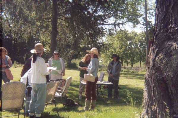 HERBAL MEDICINE STUDENTS GATHER TO IDENTIFY AND STUDY.