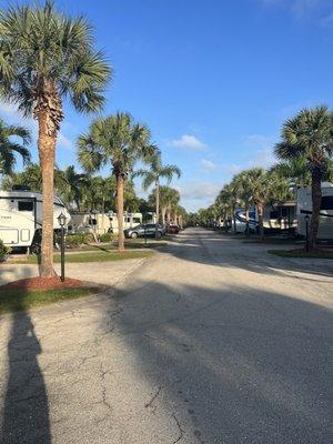 The RV Park