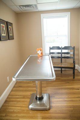 Cat and Dog Exam Room