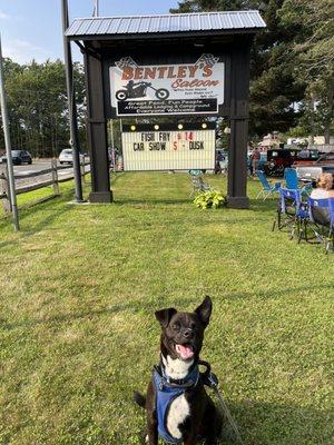 Bob gives Bentley's 4 paws up