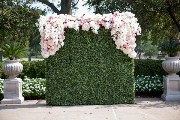 Our Flower Wall, available to rent out.