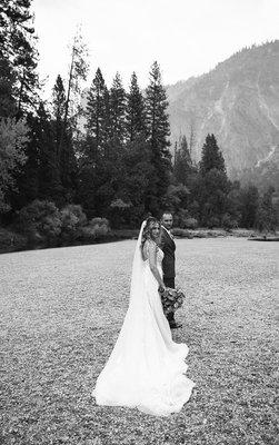 Yosemite wedding