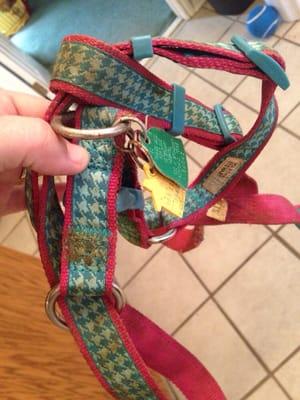 Nasty dirty poop on chewed harness