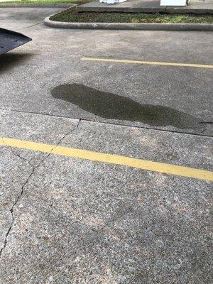 The coolant leak spot shown after the tow pulled it up for transport.