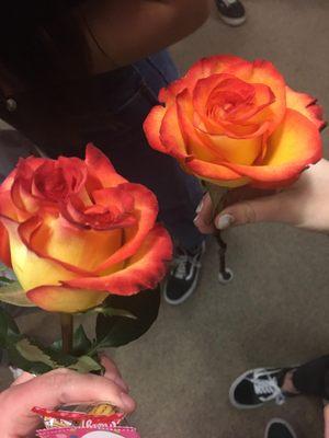 I got a text from my daughter today with this picture attached a boy at school bought every girl at Davis High a rose