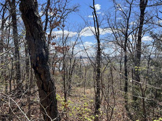 Being completely surrounded by nature here! Look at the skies, clouds, water, and trees!!