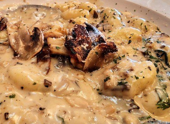 Mushroom Gnocchi!