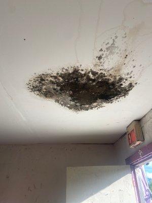 Black mold on ceiling