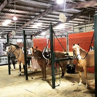 Dallas Equestrian Center