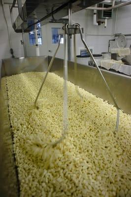 Fresh Fresh Fresh Cheddar Curds.