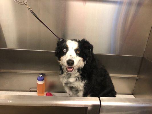 Self-service bath