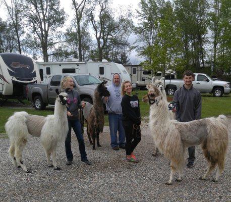 Indian Creek has Llamas!  Visit them anytime you like.  You wont find that anywhere else!