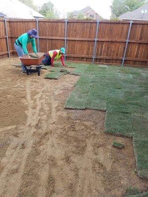 Sod installation