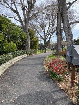 Public Shoreline Trail