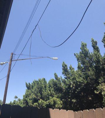 Dangerously unkept severed power lines