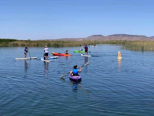 Learn to Kayak and Paddleboard Class!