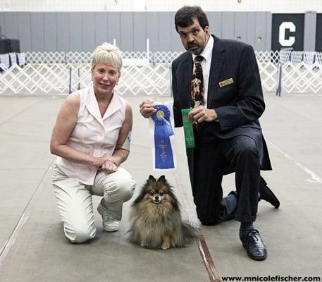 Coddled Creatures Pet Sitting President, Heidi Wise, with her dog Sugar. First Place, American Kennel Club Obedience Title