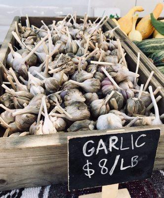 Garlic for sale.