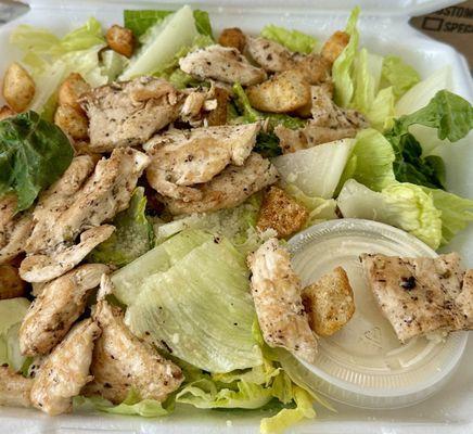 Chicken Caesar Salad