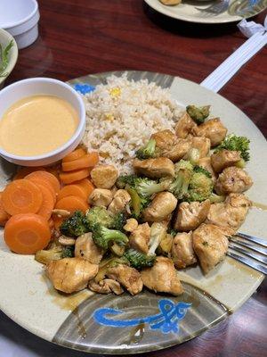 Teriyaki Chicken