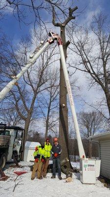 Winter tree work