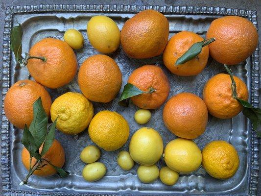 A seasonal fruit basket