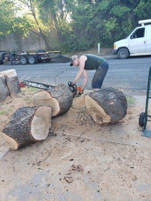 Mayfield's Tree Service provides safe and efficient tree removal services to address hazardous, damaged, or unwanted trees on...