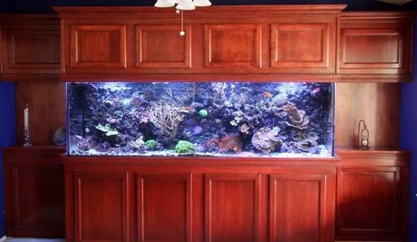 250 gal Reef w/ Cherry Cabinetry