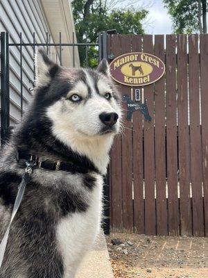 Manorcrest Boarding Kennels